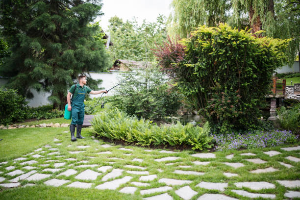 Best Lawn Pest Prevention  in Culver, OR